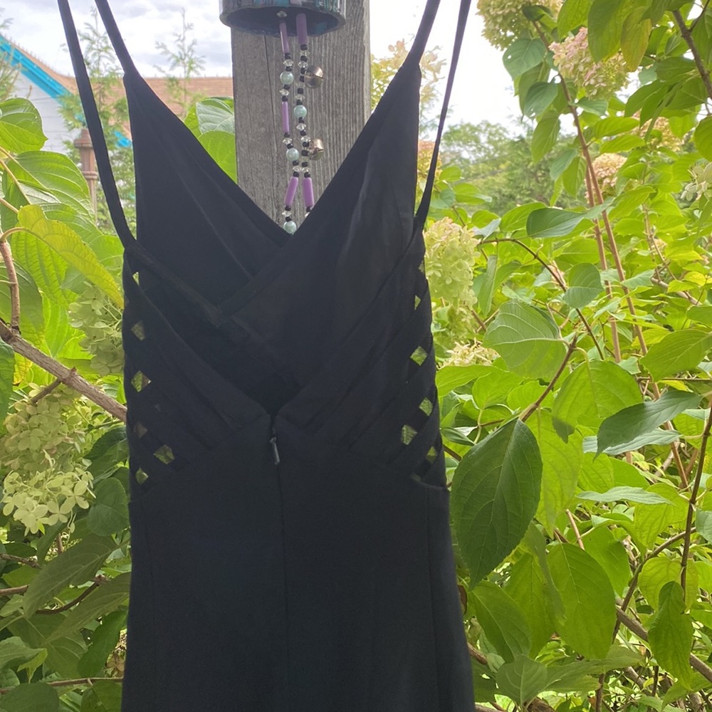 Niteline - Picture 2 of 3